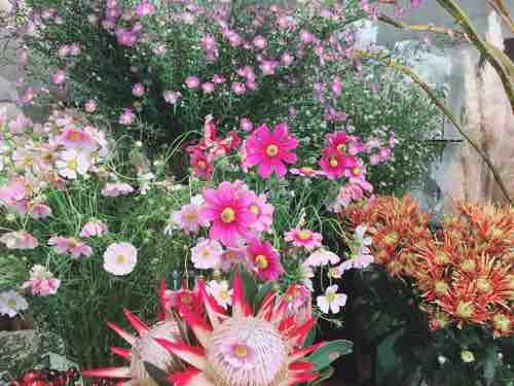 Akkanen@ログアウト