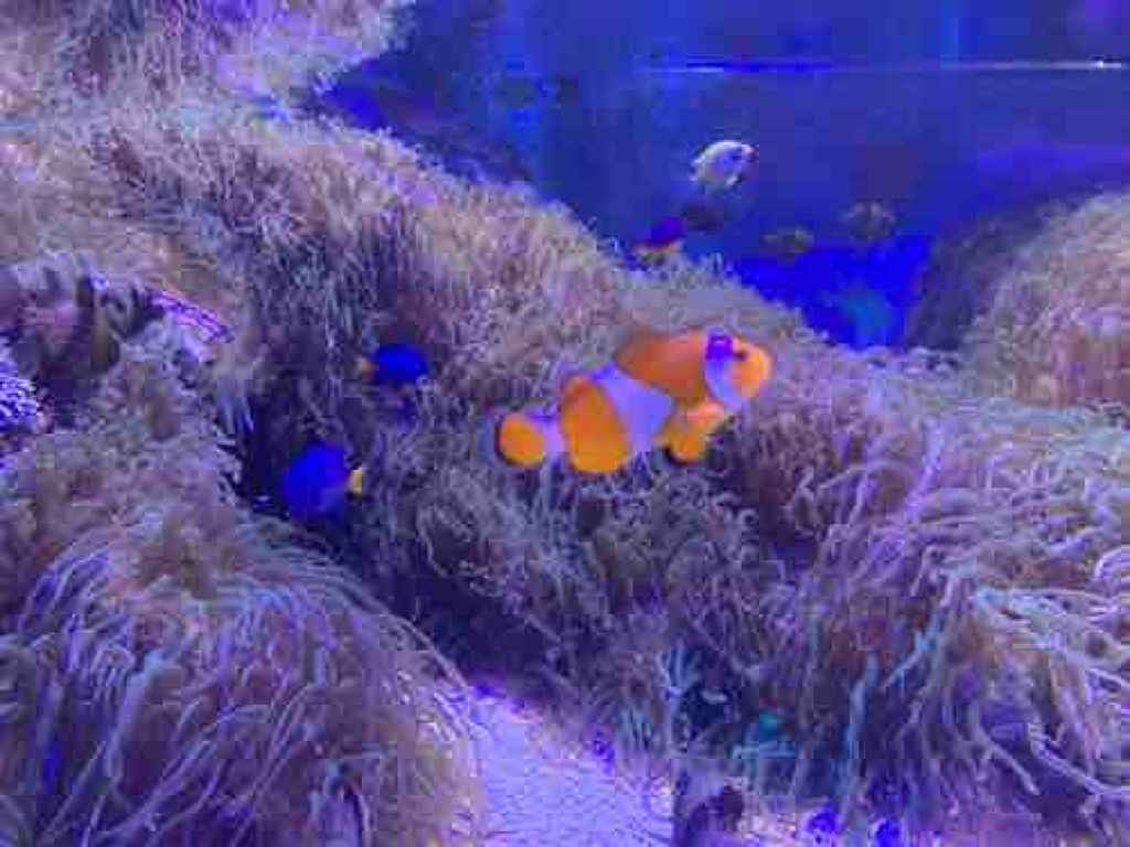 matsui  tomomi 🌻🌈