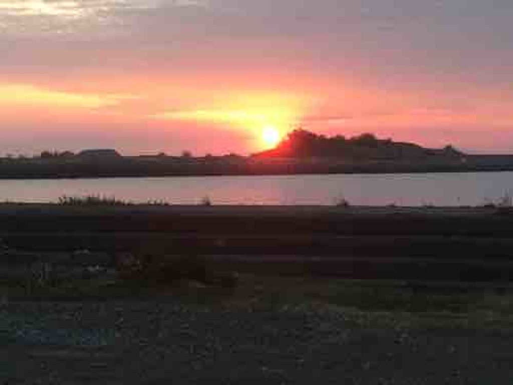 sachi‪ᙏ̤̫❤︎