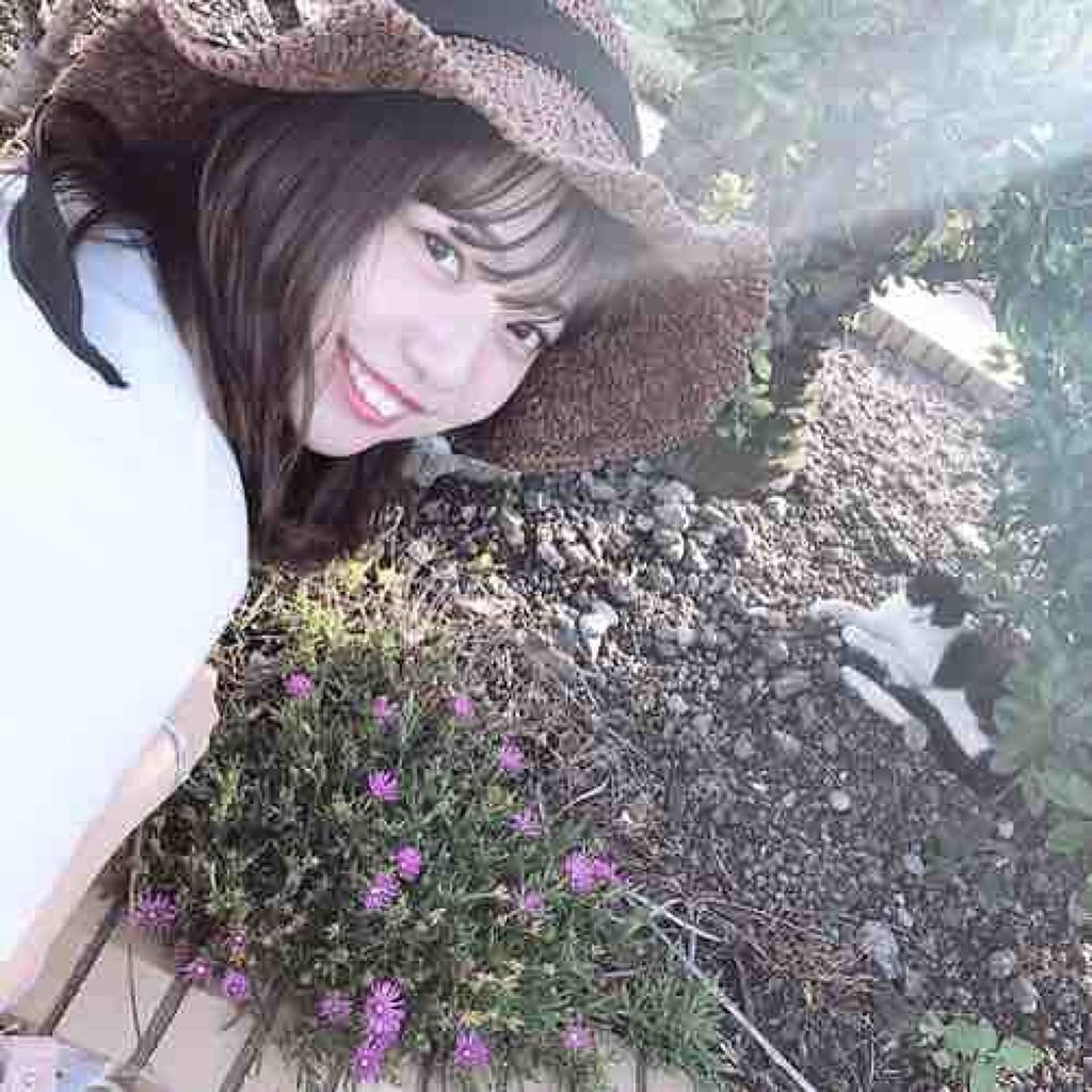 犬飼彩乃 (あーちゃんねる)