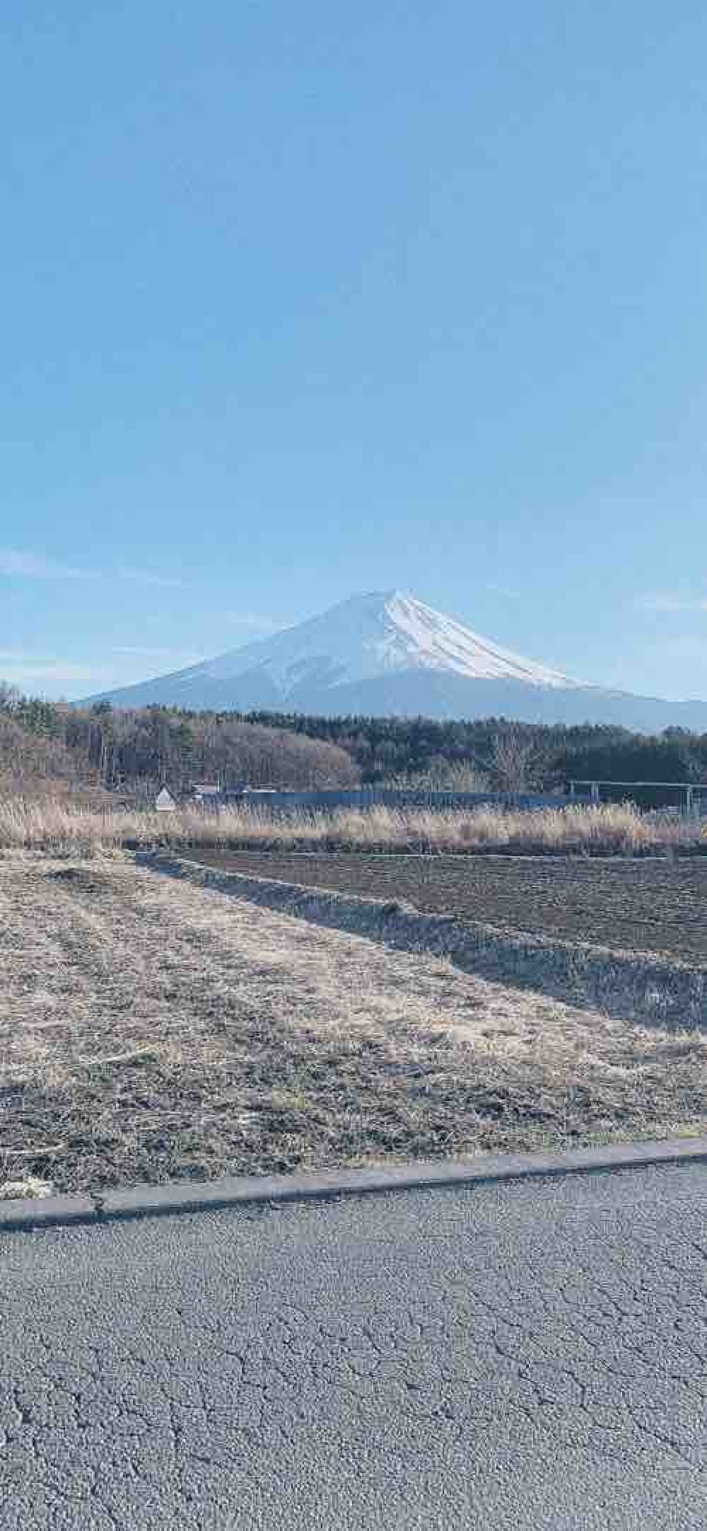 colorful_sounds_oi2c