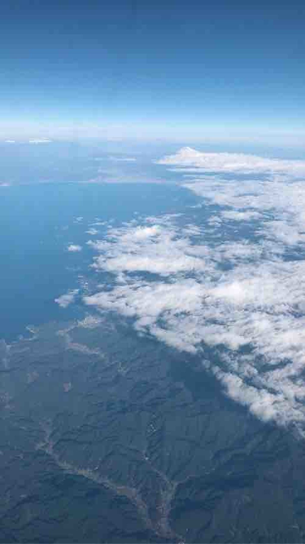 美肌になりたい ただそれだけ