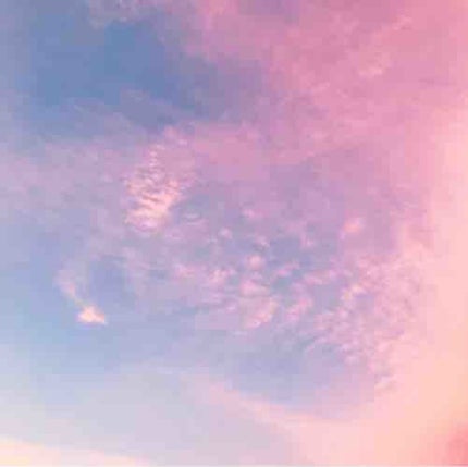 srkn_2