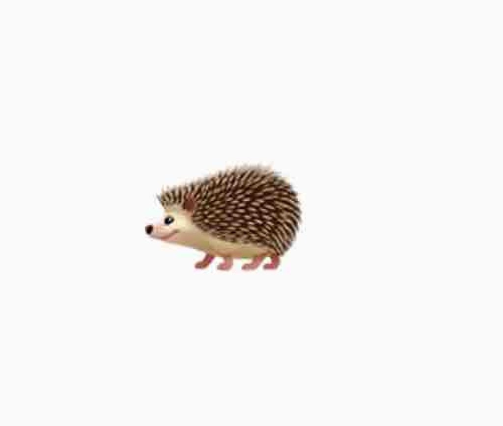まる🦔