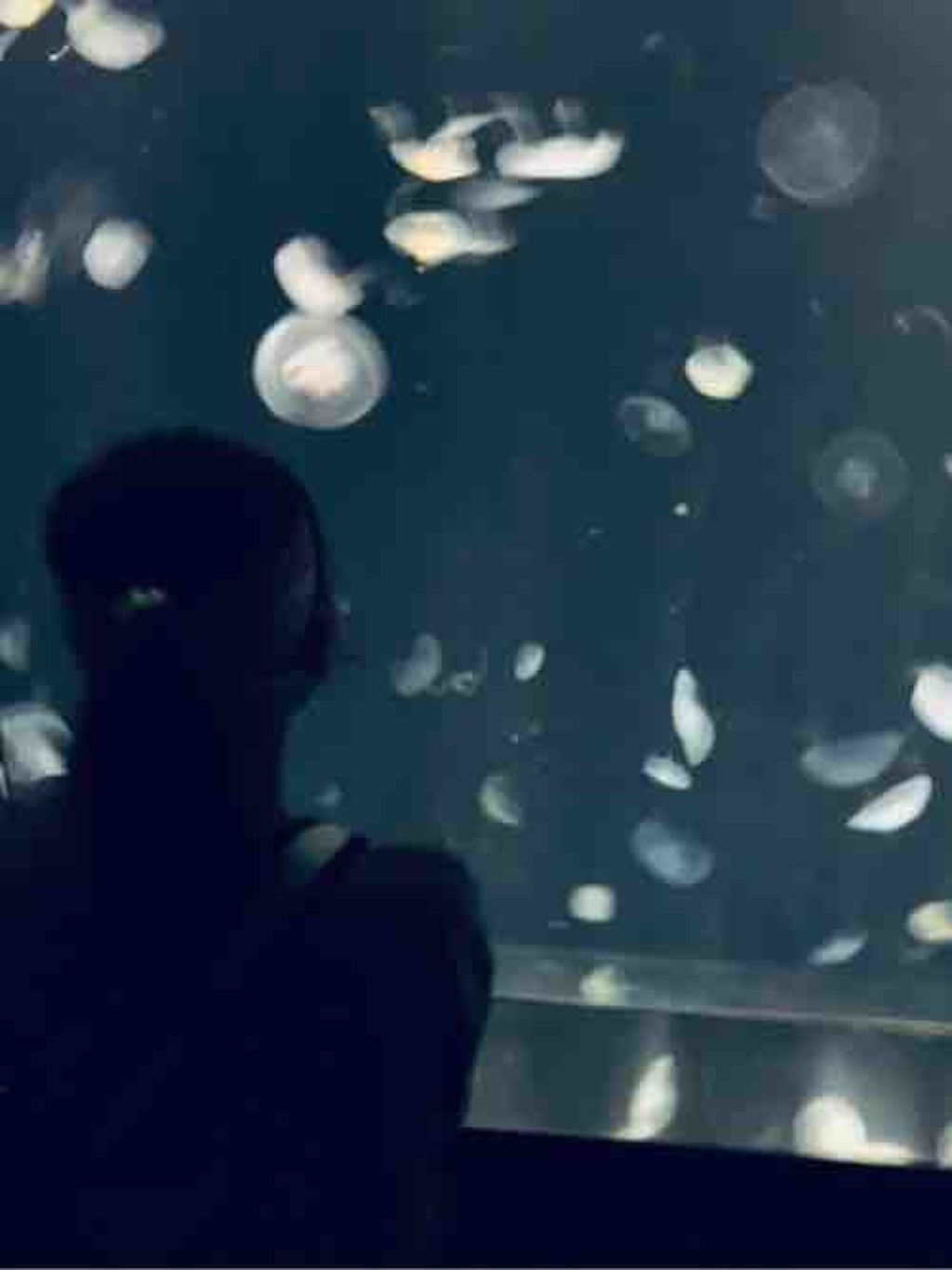 可愛くなりたい