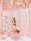ゆーぴょん