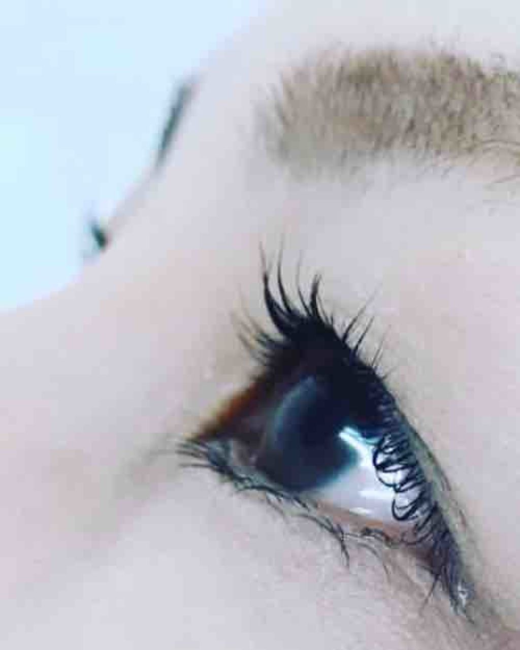 美魔女目指して