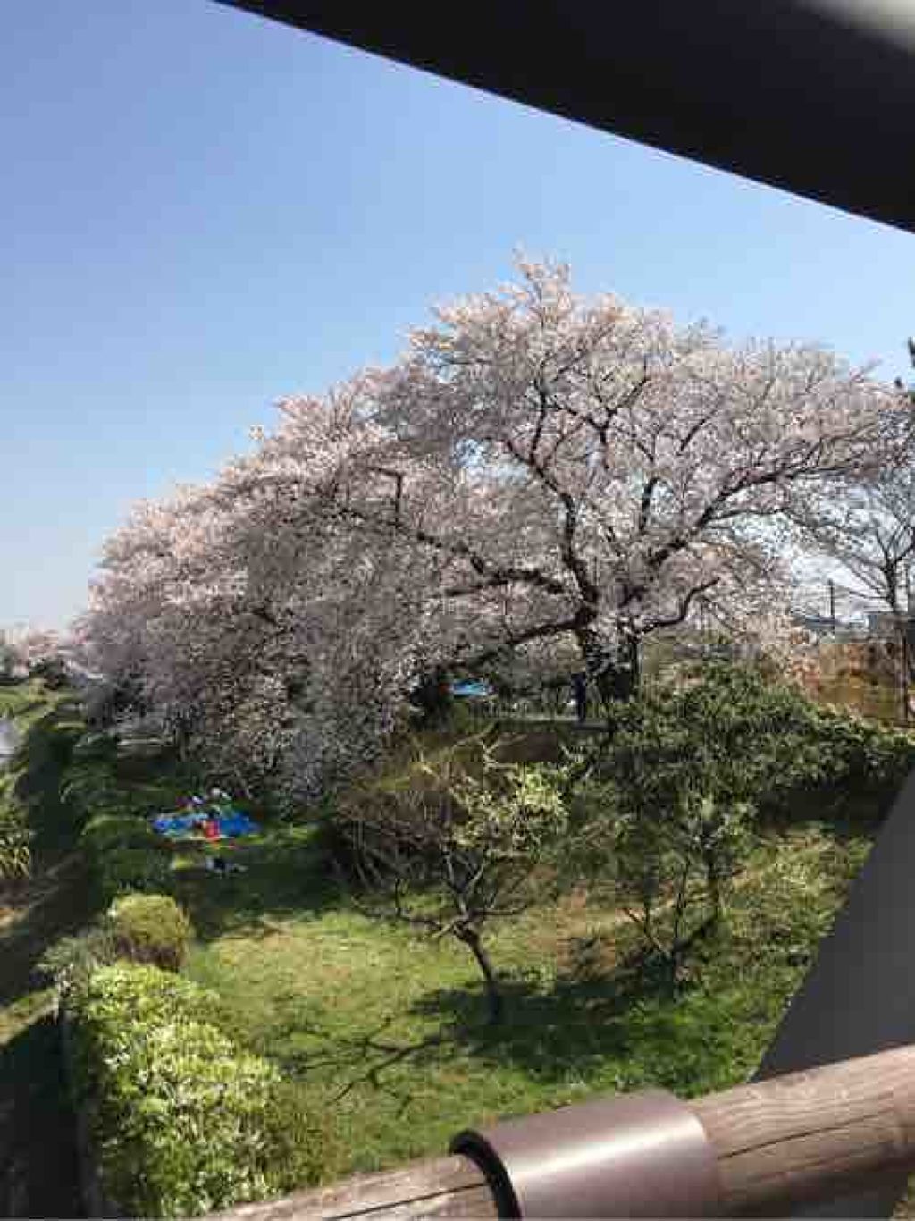 り な な◡̈⃝︎⋆︎*❁