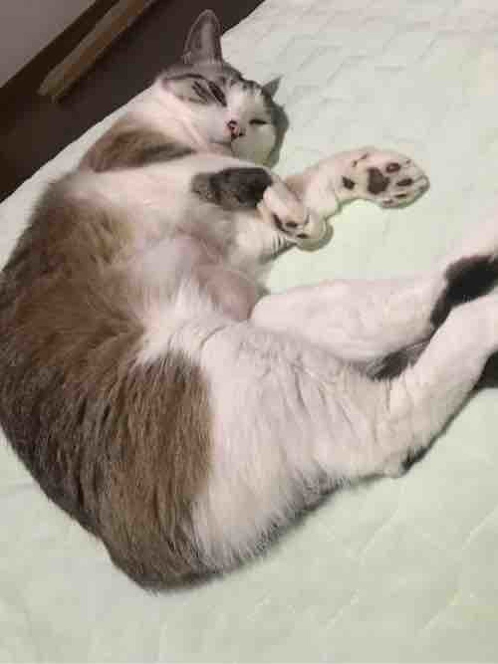 fantastic_sounds_35k