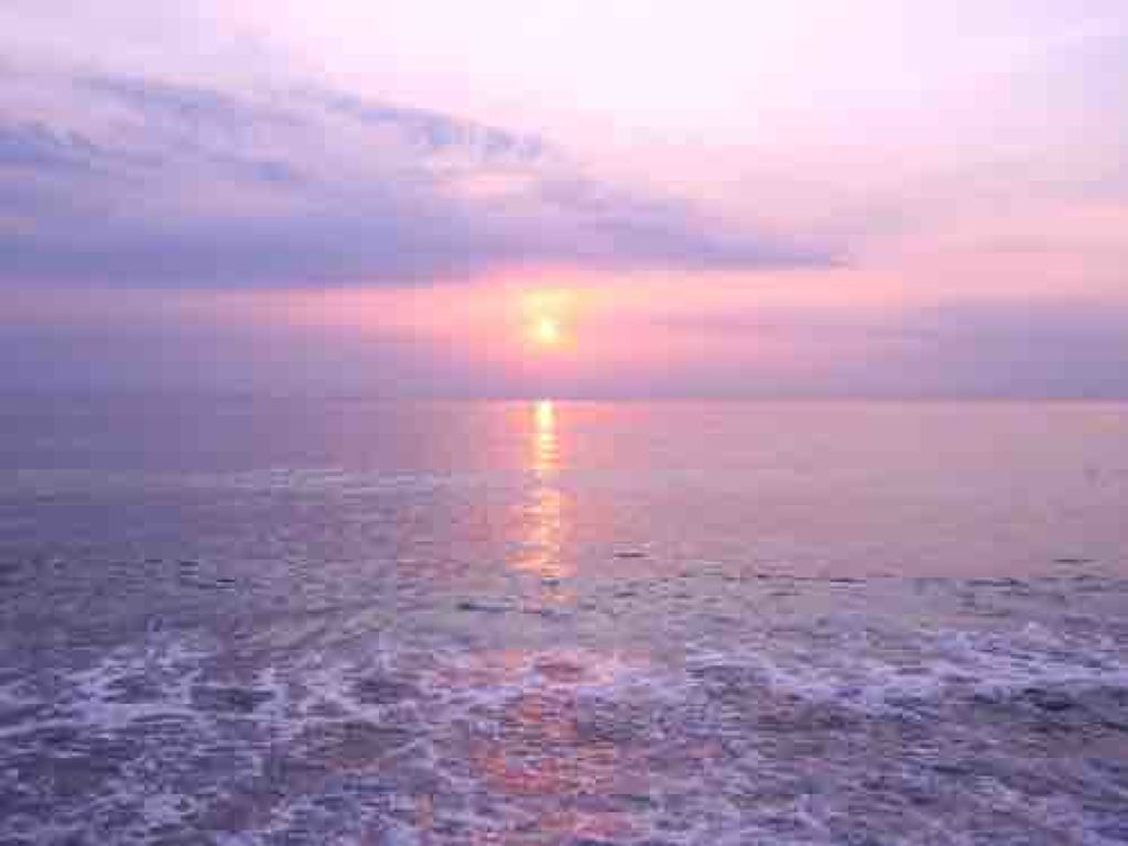 🍯パンケーキ🥞