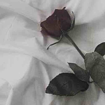 フラレイガール