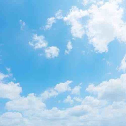 🥚ゆでたま🥚