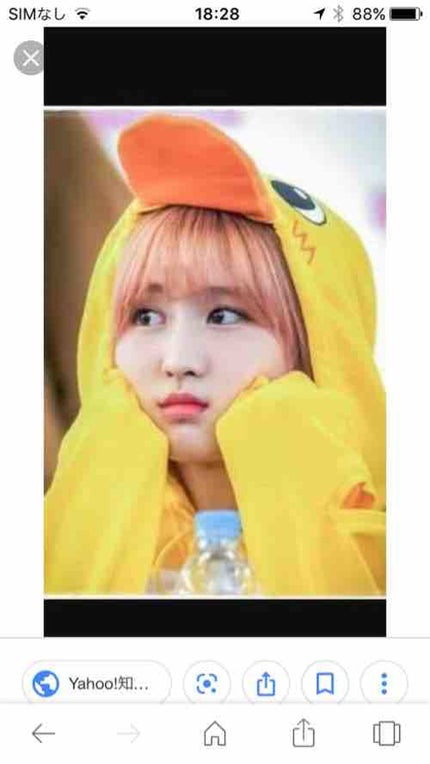 もったん(*^ω^*)