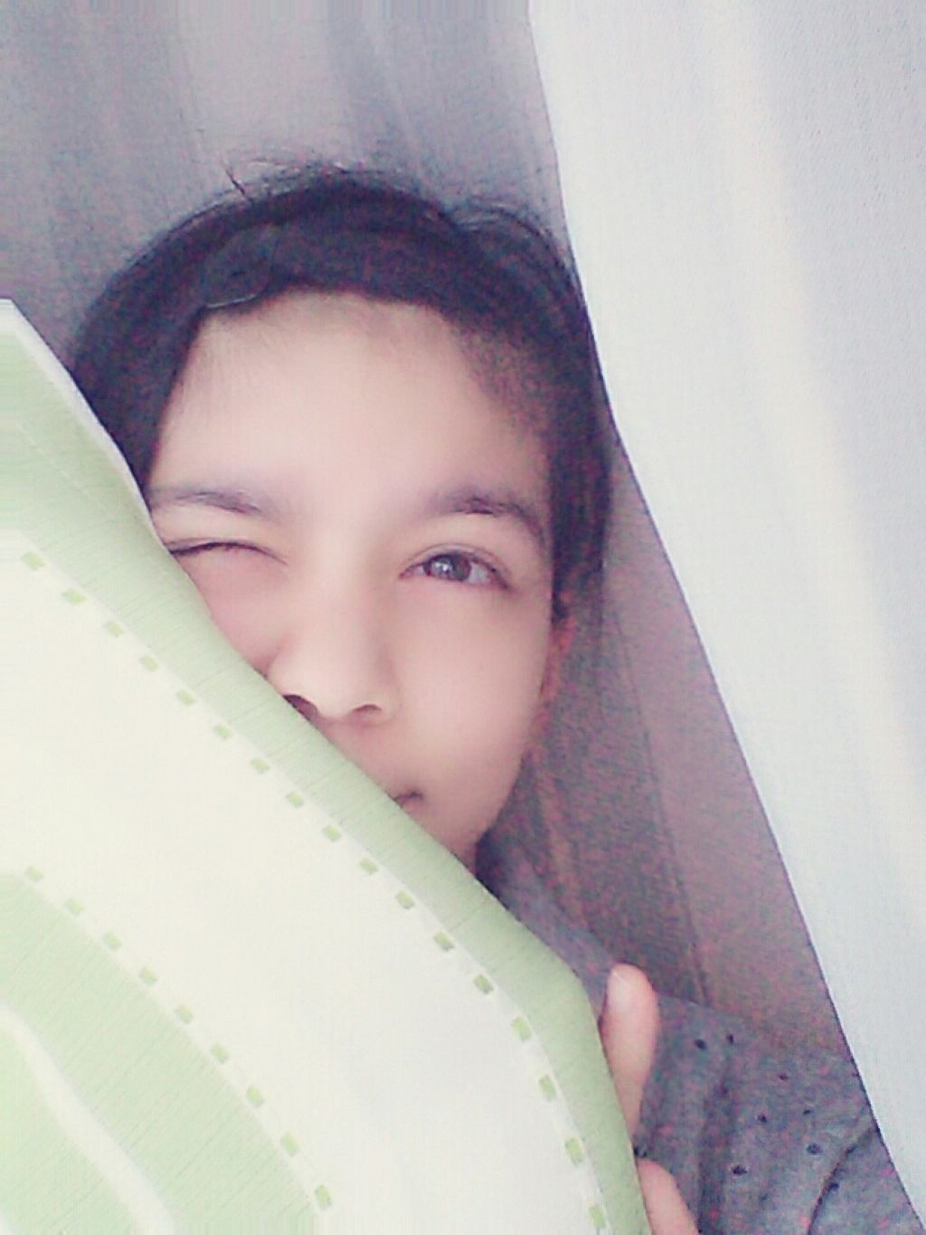 🌻ポムロール🌻