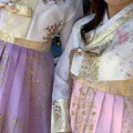 ひまわり