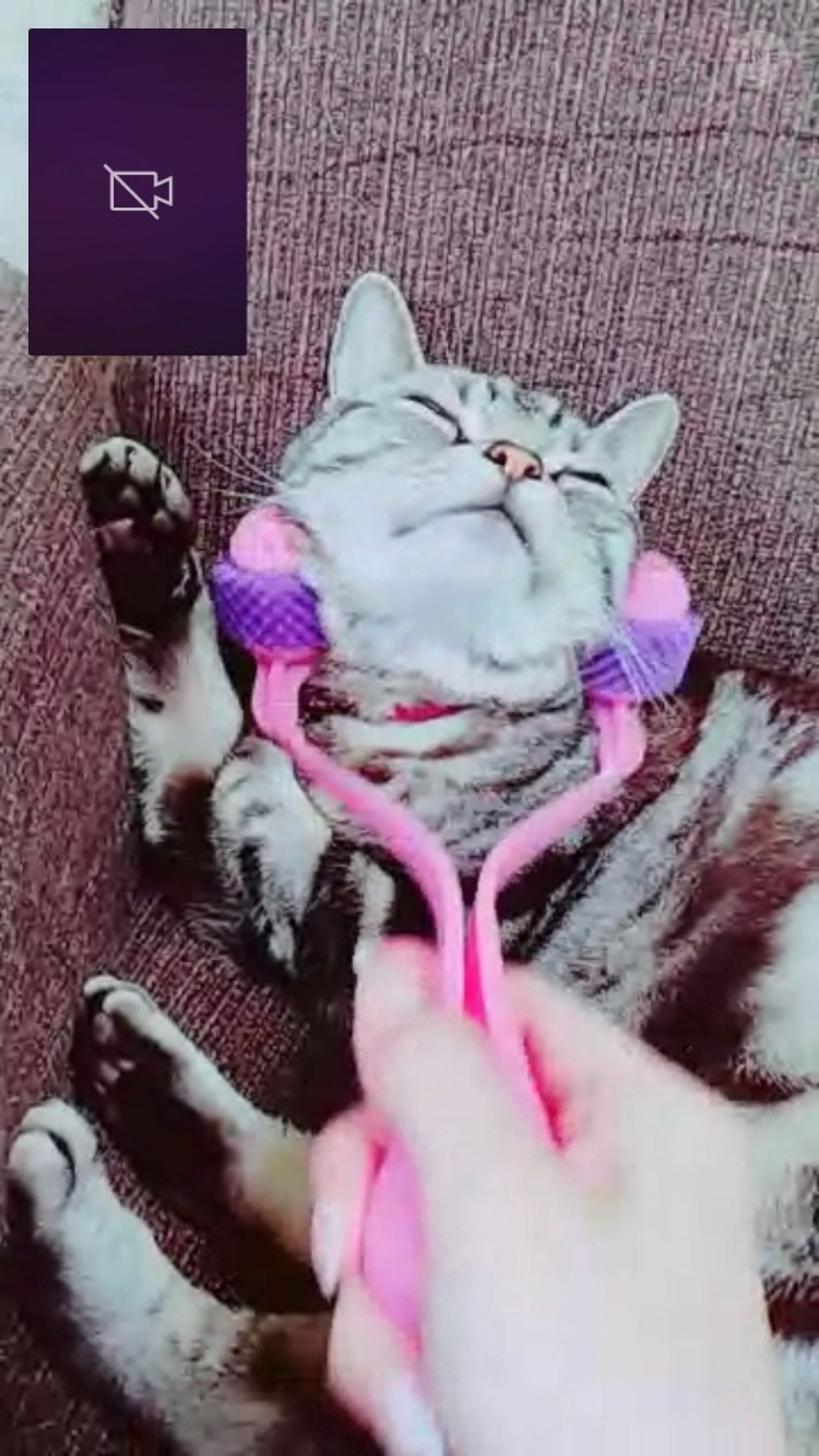 †Anna†フォロバ100