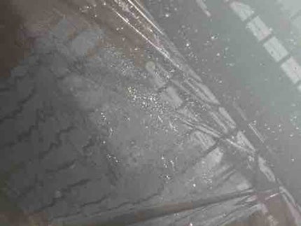 くも🐻(フォロバ100&いいね返し)