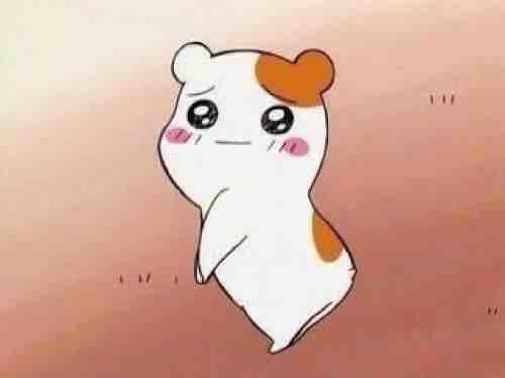 ｵﾑｼ💩🧚‍♀️