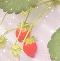 える。