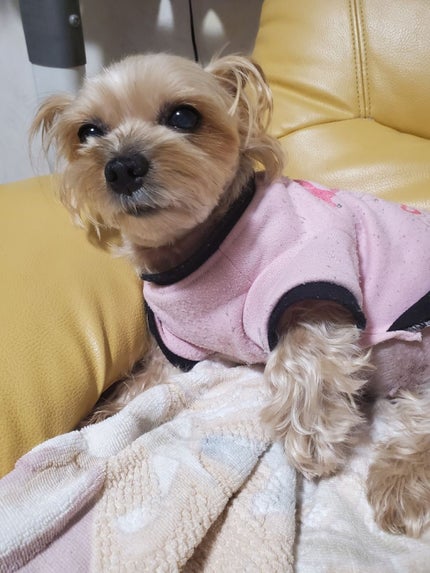 みんと