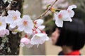 おちゃまる