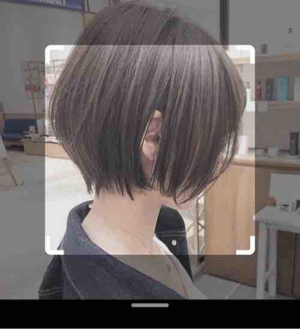 アリスの日記📖