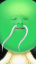 ワカメにハマってる