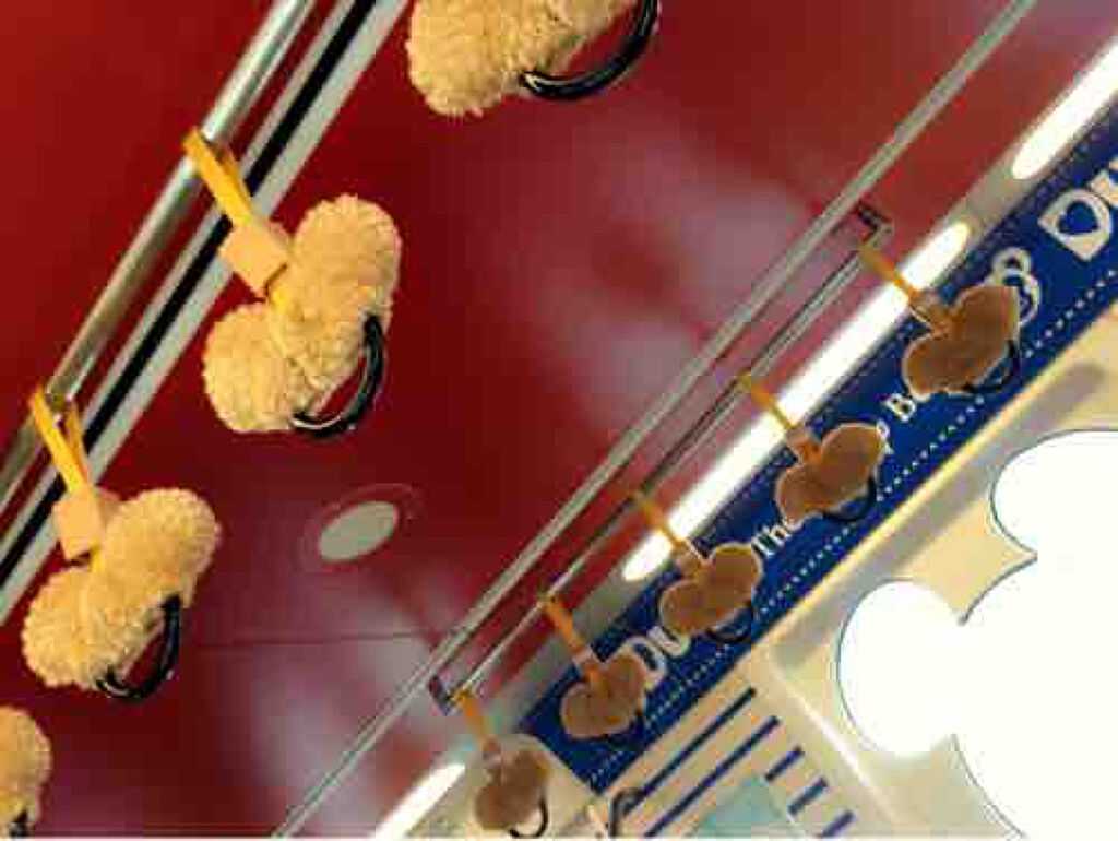 ぷくぷく@アレルギー体質