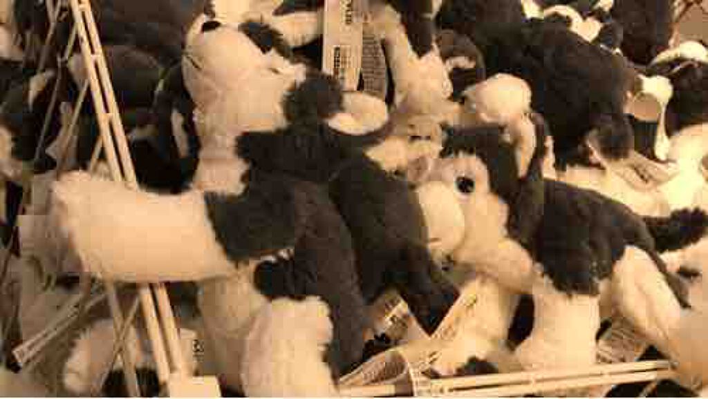 𝚖𝚒𝚔𝚒 ☏