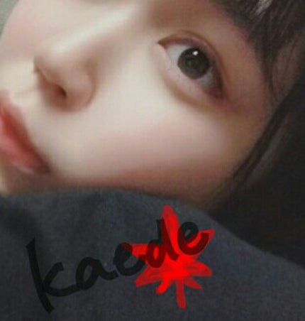 楓🍁フォロバ100 %