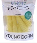 やんぐこーん