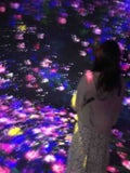 ぴぴまる