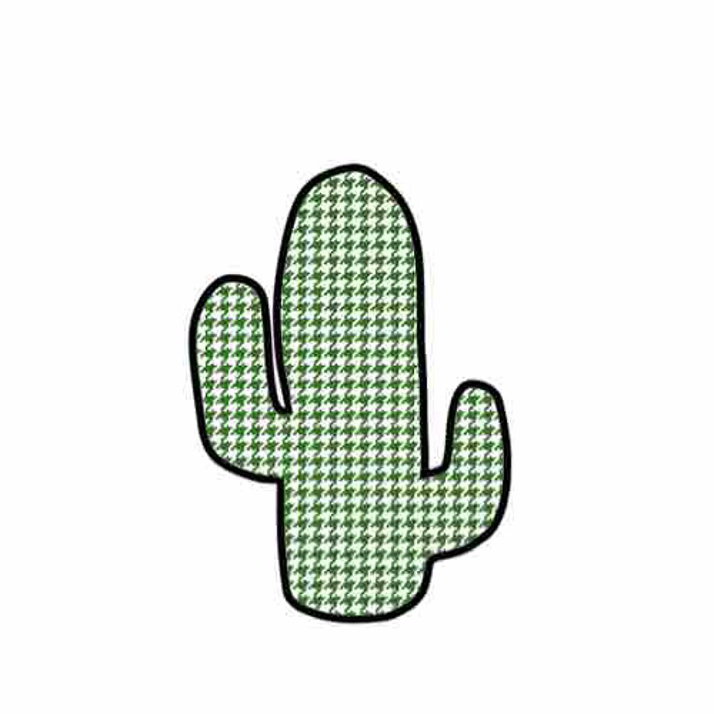 サボさん 🌵🌺