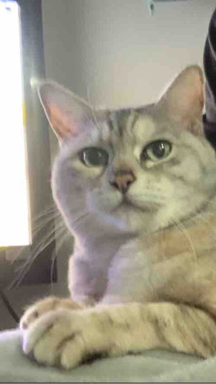 あまてら@フォロバ