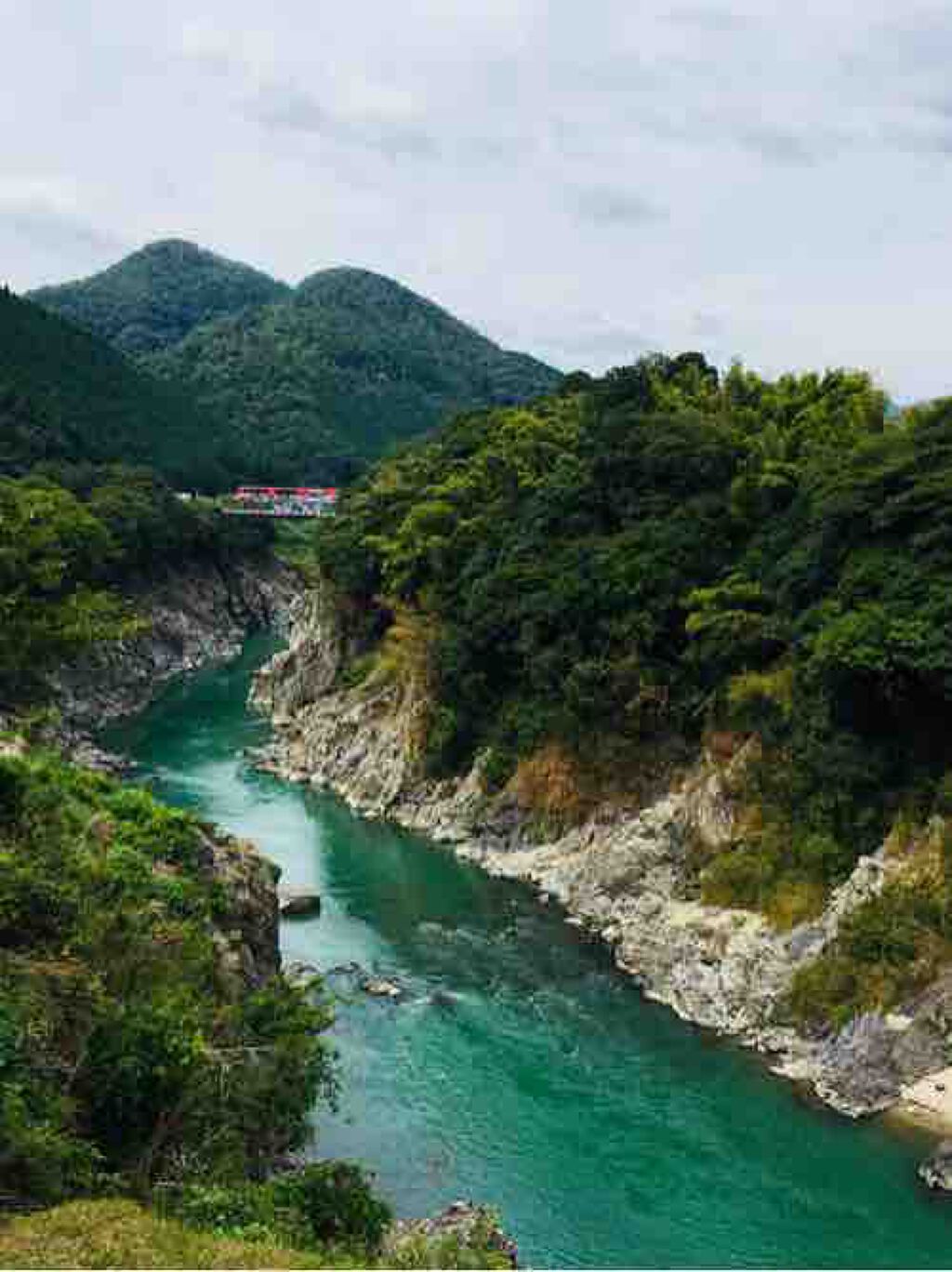 ポムポムプリン