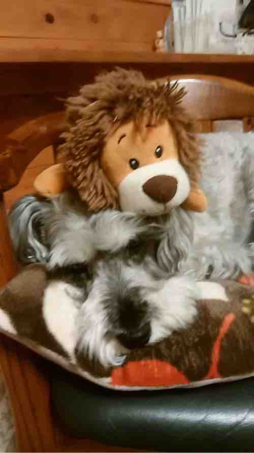 ⭐Rie-ko フォロバします⭐