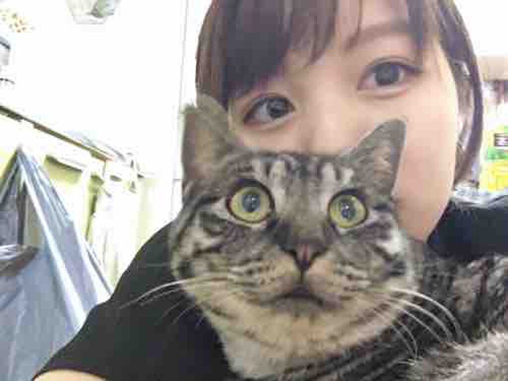 おもちもちもち