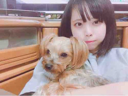 ゆりぱち