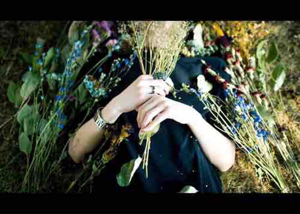 ฅ^._.^ ฅ@フォロバ100