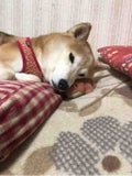 郁美