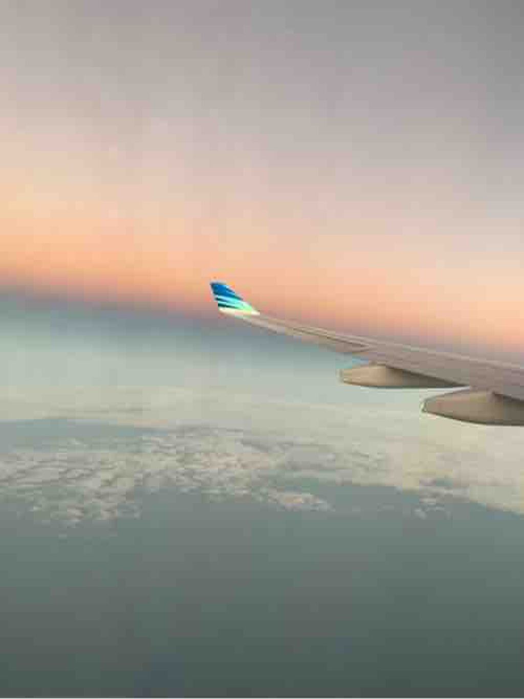 ちゃむ@雑貨屋店員☀️