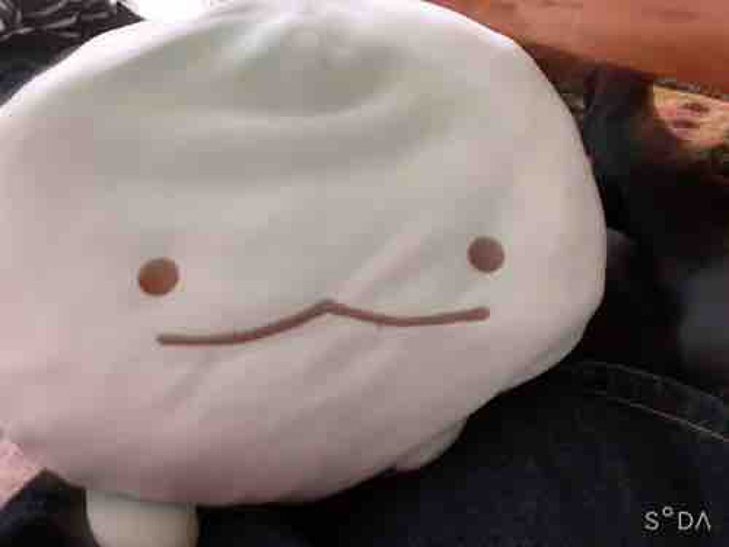 北国の女の子🙌🏻