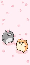 ちぃ