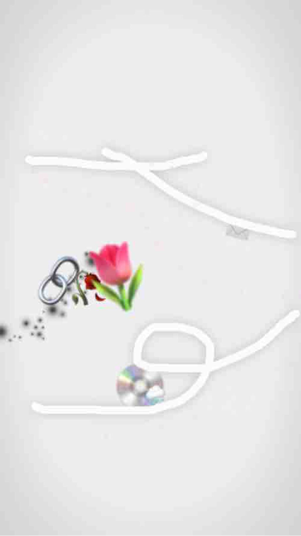 誤解の花びらが散り去った.。゜