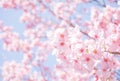 あやみ
