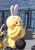 ま き
