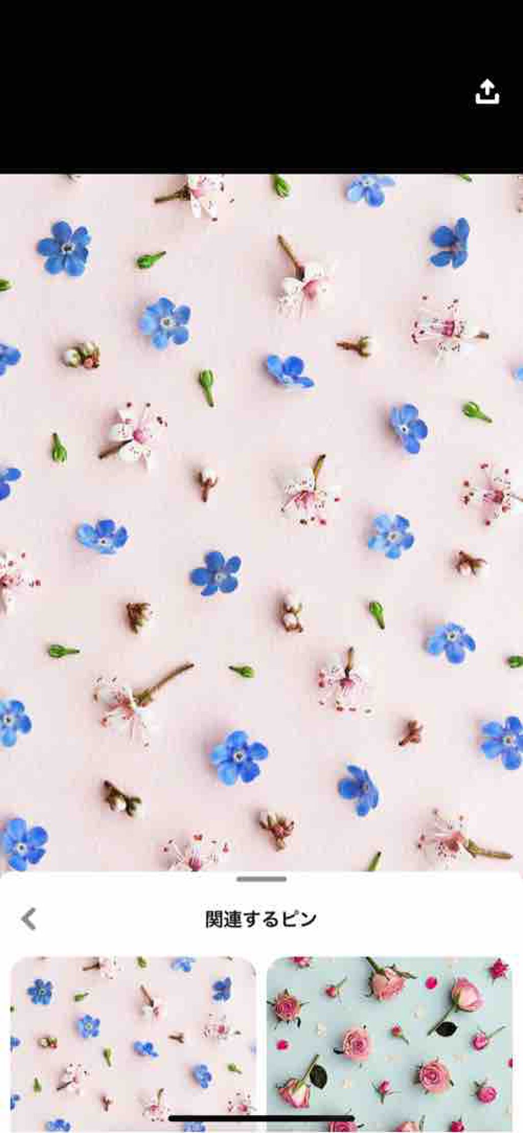 りみか🙆‍♀️