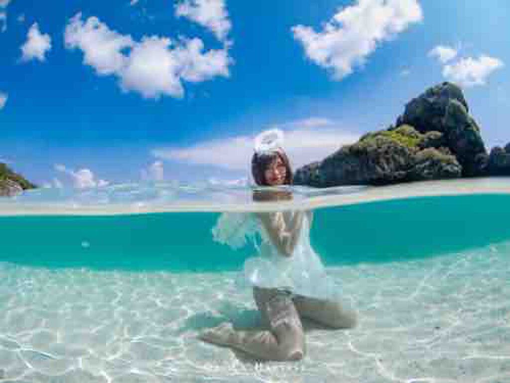 たつみฅ՞•ﻌ•՞ฅぶち