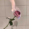 みさき