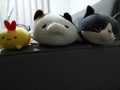 ミイ